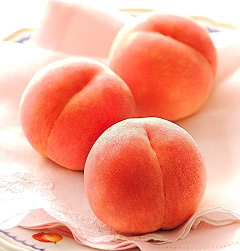 父の日ギフト 山梨県産 糖度16度の大玉桃 2kg 特選ギフトボックス入り