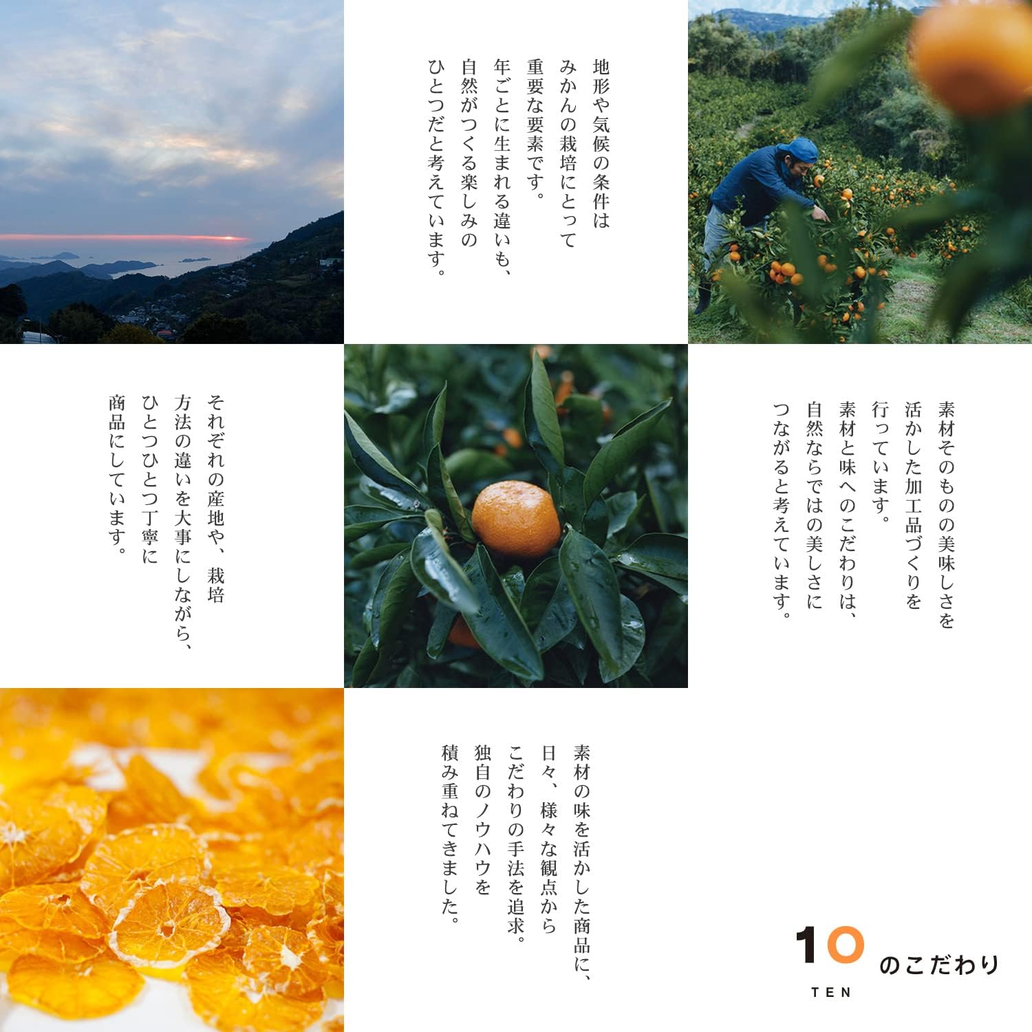 愛媛産無添加みかんストレートジュース 720ml