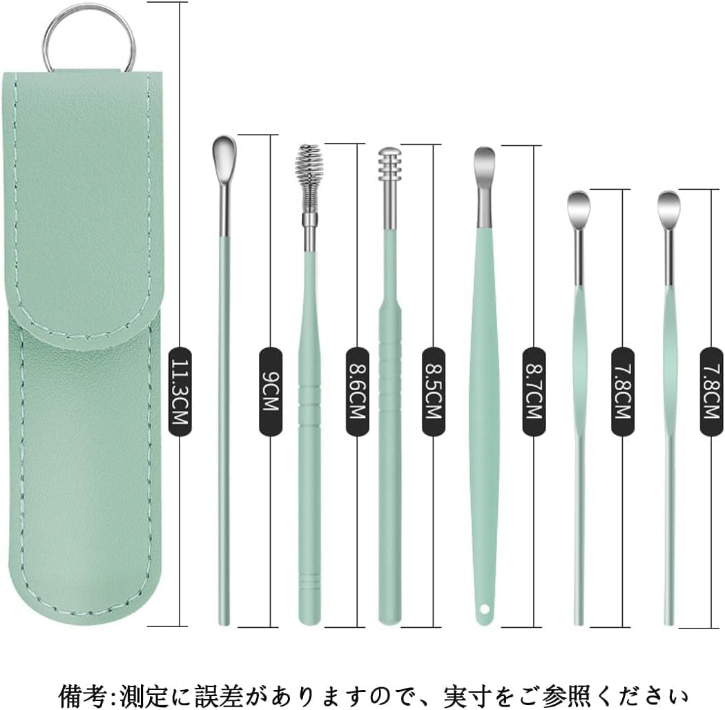 耳掃除 ステンレス製イヤークリーナー 6点セット 軽量携帯用収納ケース付
