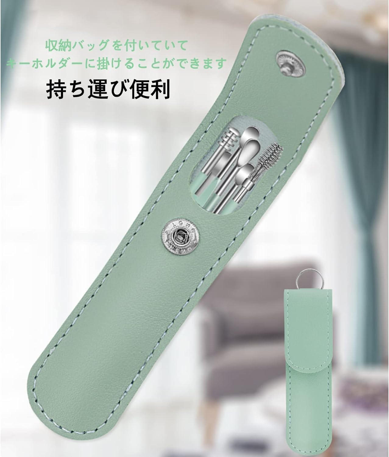 耳掃除 ステンレス製イヤークリーナー 6点セット 軽量携帯用収納ケース付