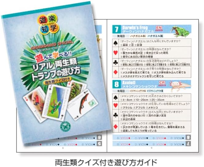 クリスマスギフト カロラータ リアル両生類トランプ 知育玩具 カエル図鑑付き