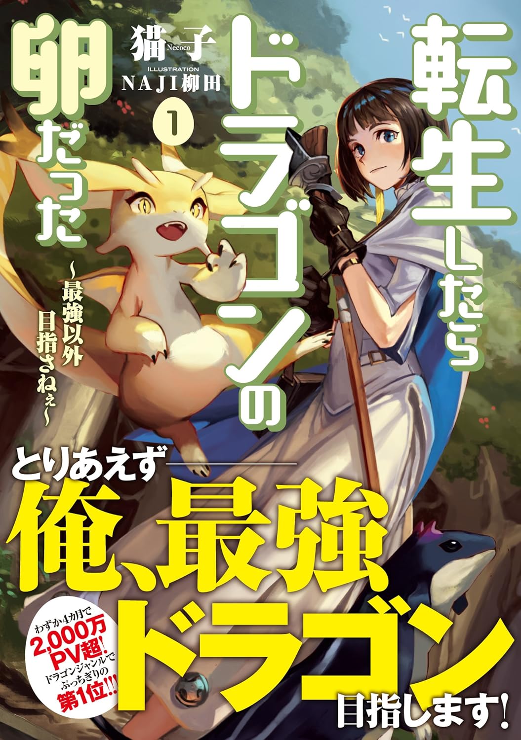 ドラゴンの卵に転生した最強の冒険 1 (アース・スターノベル)