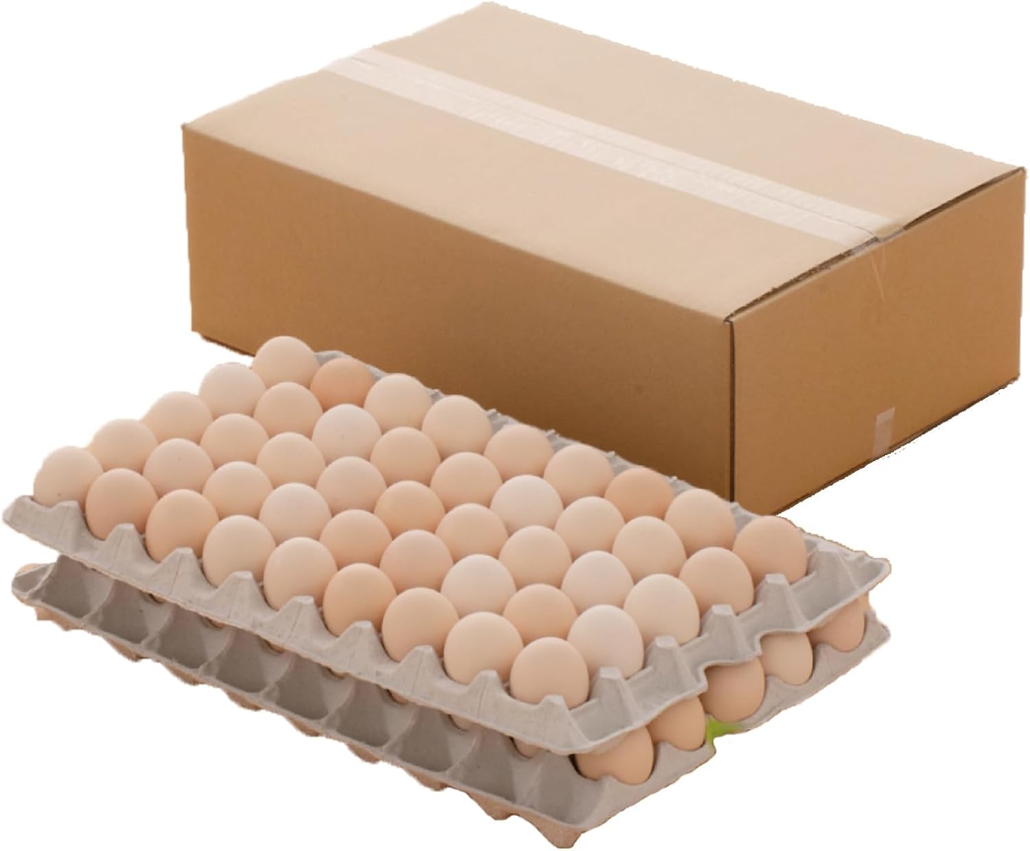 お米育ちのニワトリのこめたまご Mサイズ 5kg 約82個入り