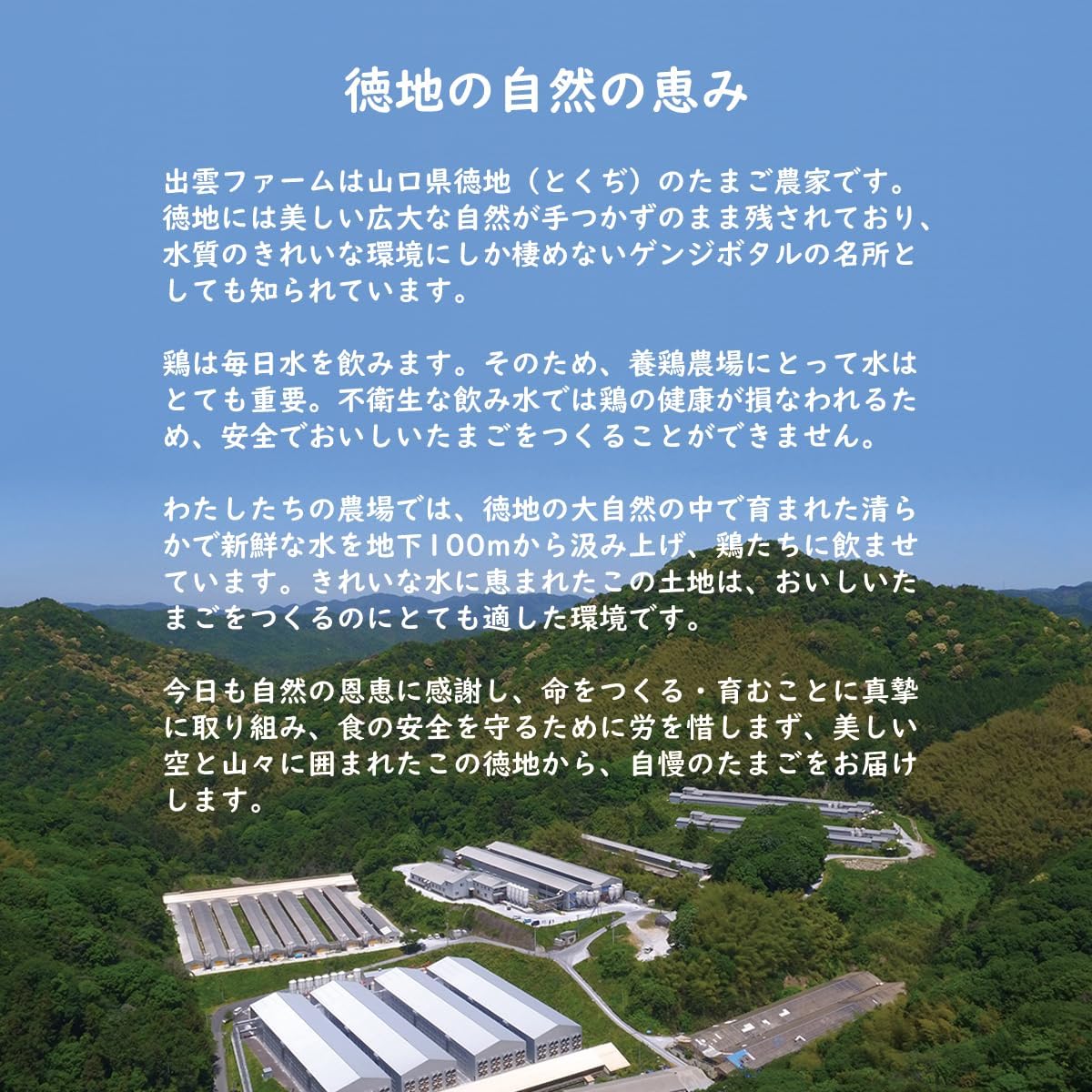 お米育ちのニワトリのこめたまご Mサイズ 5kg 約82個入り