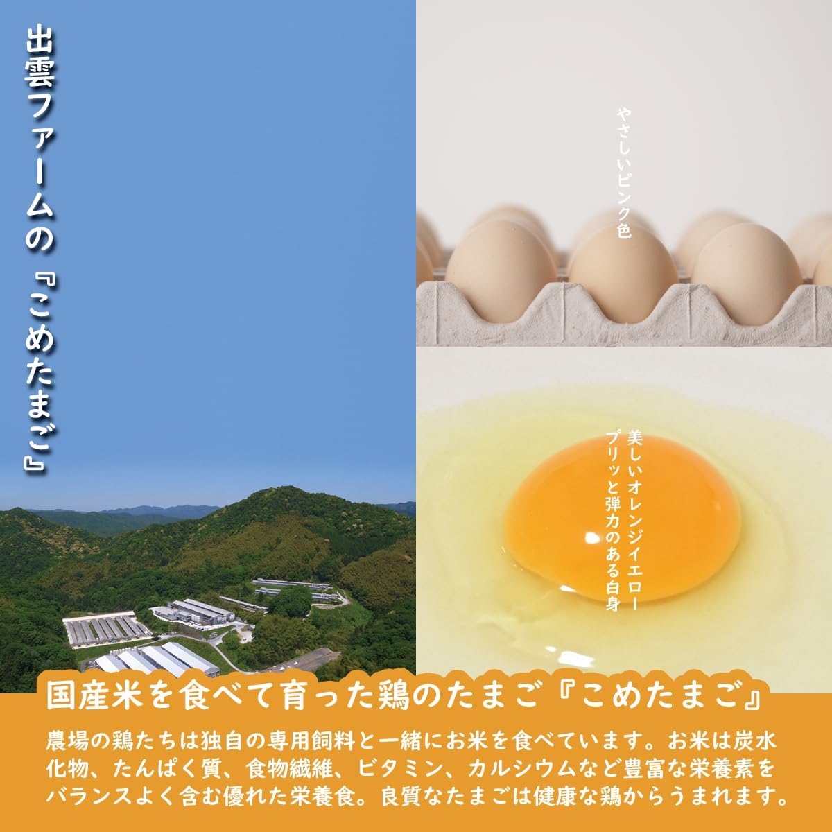 お米育ちのニワトリのこめたまご Mサイズ 5kg 約82個入り
