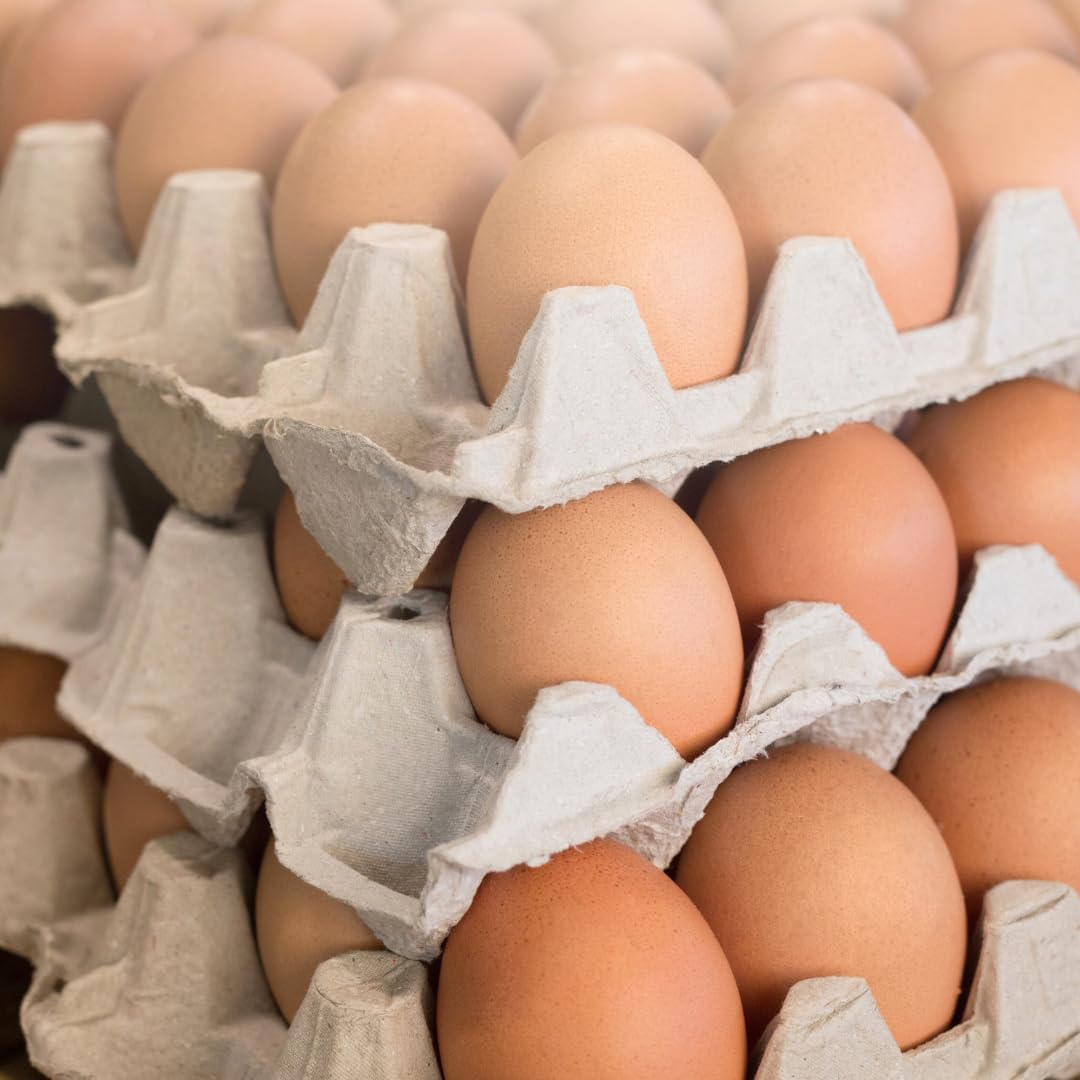 新鮮産みたて濃厚卵 M~Lサイズ 40個お届け