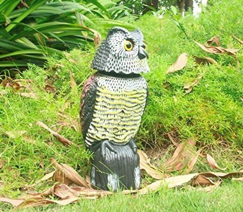 防鳥対策 防犯フクロウ 目玉で威嚇 本物そっくり 鳩・スズメ・カラス撃退