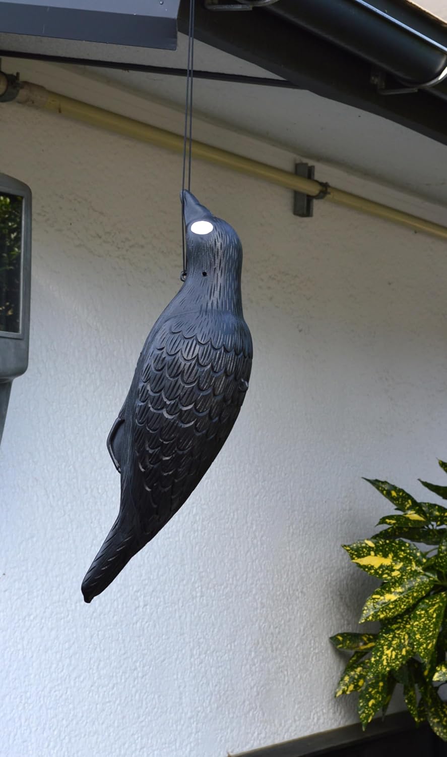 大型カラス用コンパル