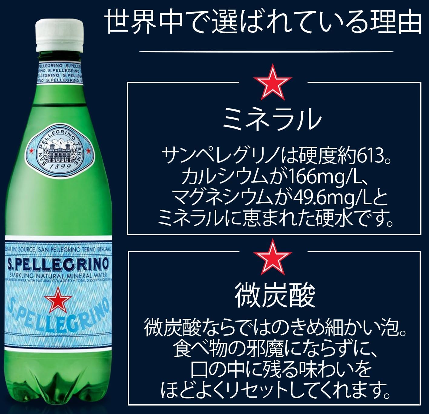 サンペレグリノ 炭酸水 PET 500ml 24本セット