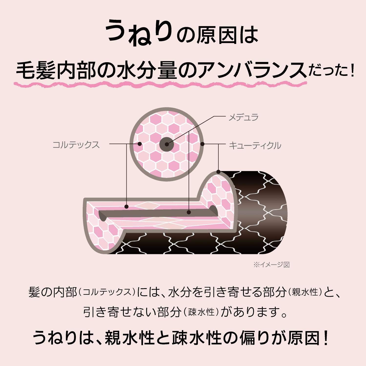 くせ毛用サルフェートフリー・ノンシリコンシャンプー 440g