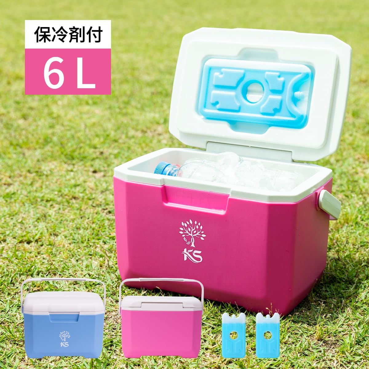 小型軽量クーラーボックス 6L 保冷剤付き アウトドア・キャンプ用 5色展開