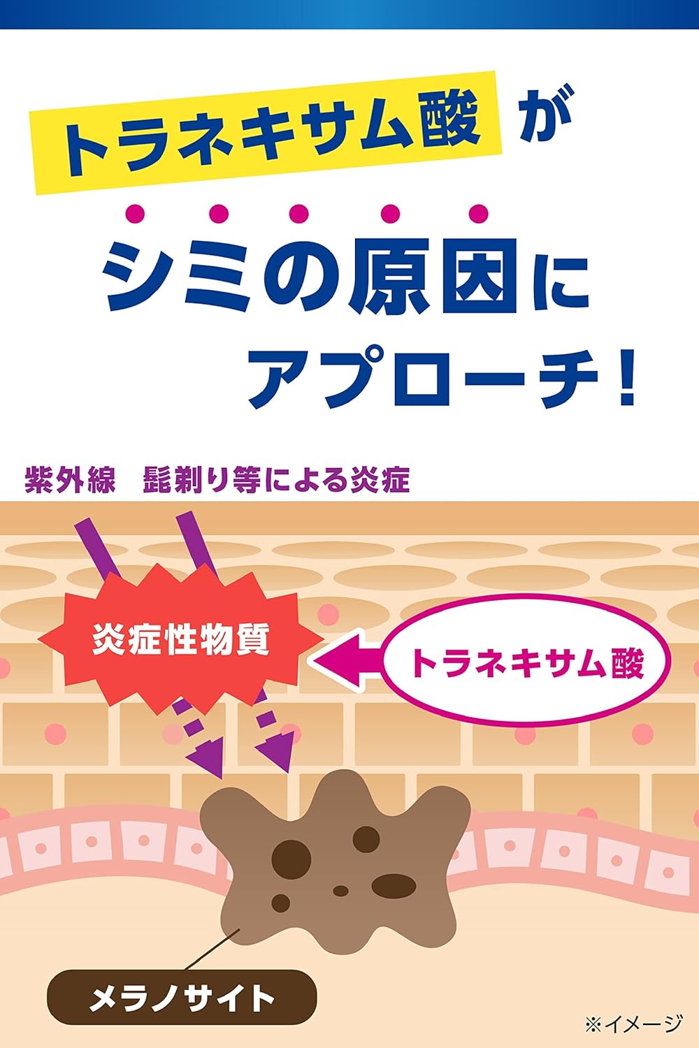 メンズシミ対策クリーム トラネキサム酸配合 医薬部外品 20g
