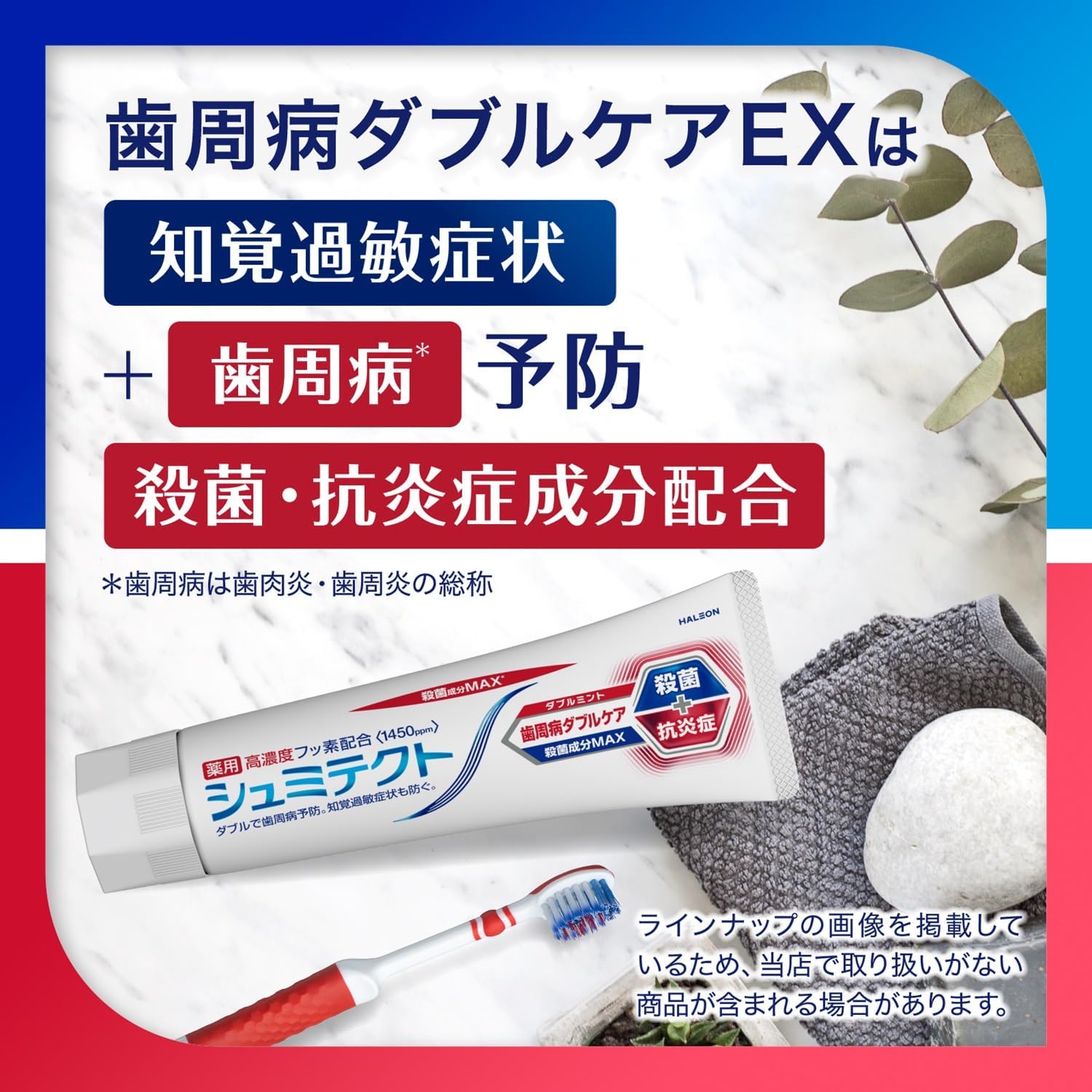 シュミテクト 歯周病ダブルケアEX 知覚過敏用歯磨き粉 2本＋歯ブラシセット
