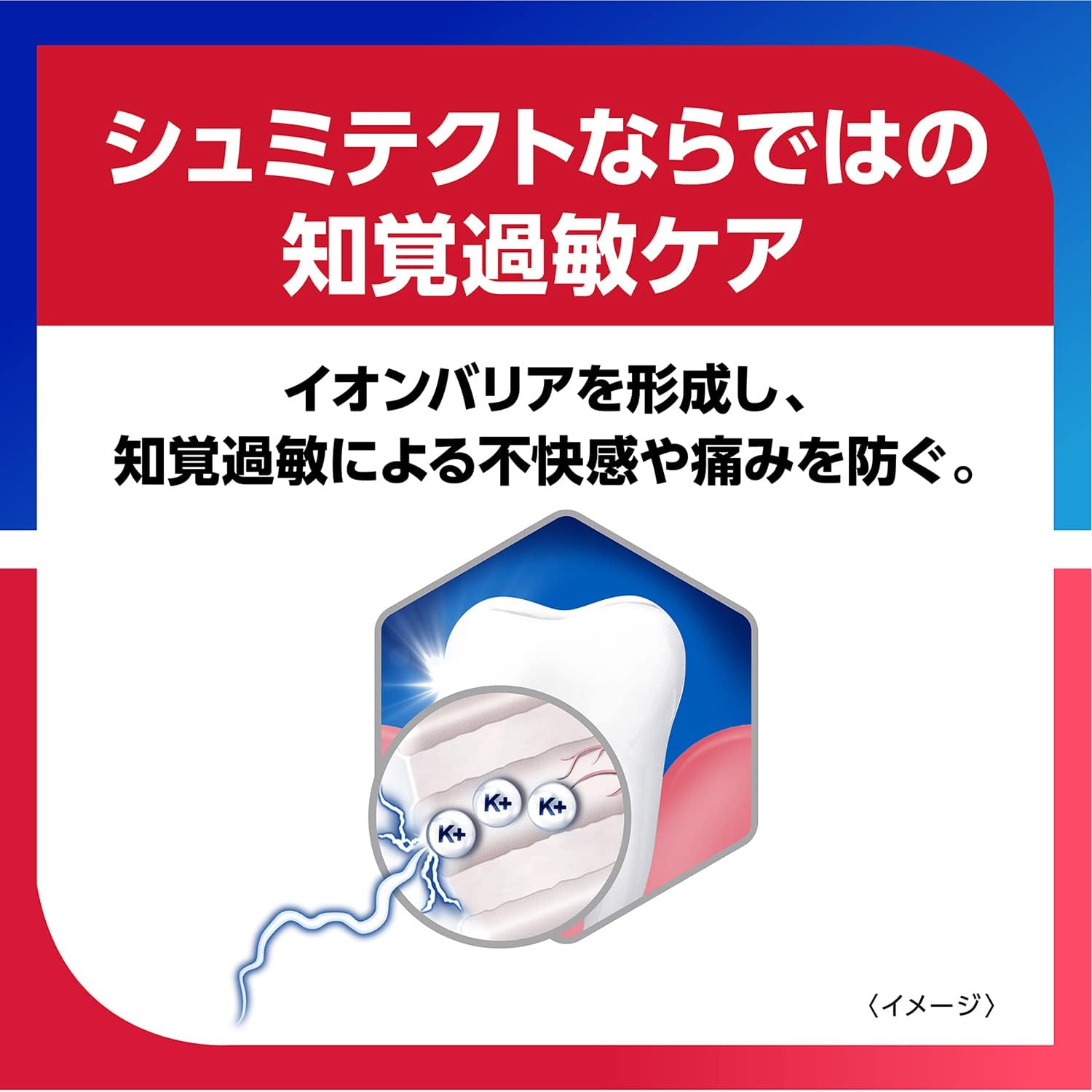 シュミテクト 歯周病ダブルケアEX 知覚過敏用歯磨き粉 2本＋歯ブラシセット