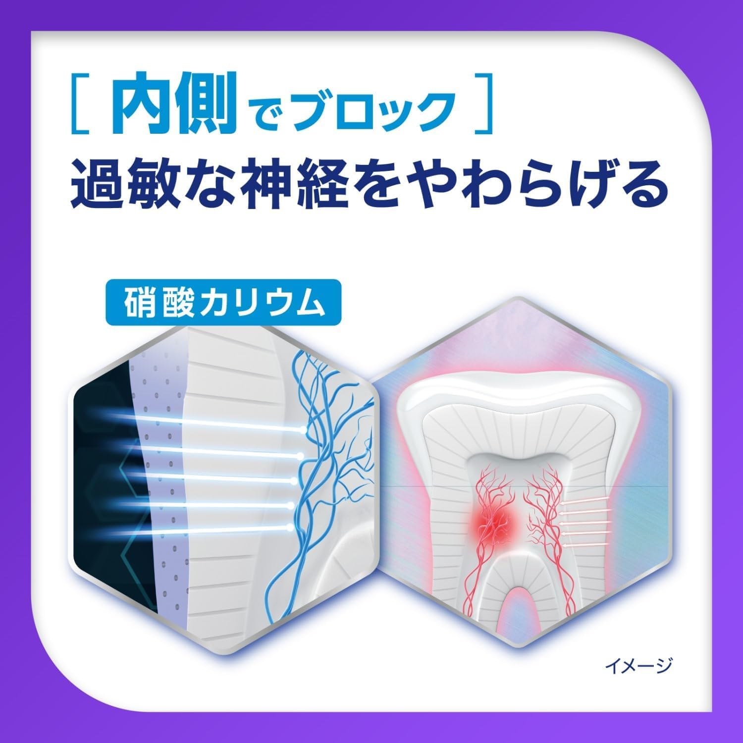 知覚過敏ケア歯磨き粉 シュミテクト プラチナプロテクトEX クリアシトラス 1本 + 歯ブラシ付き