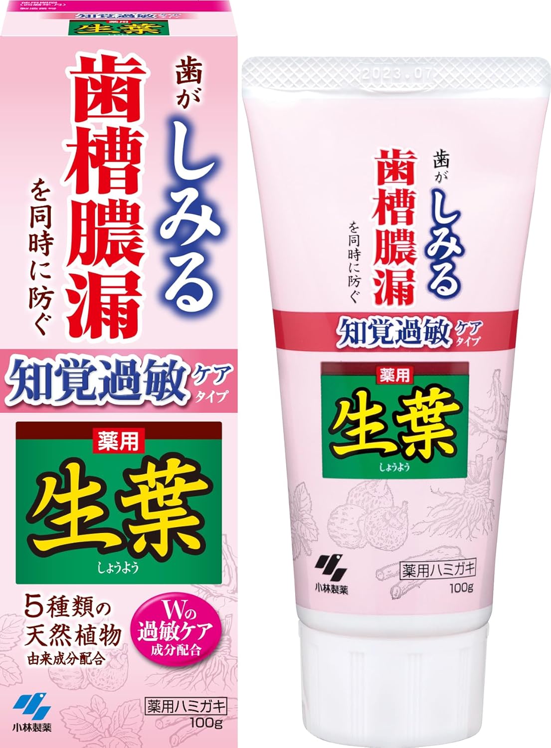 知覚過敏予防 薬用ハミガキ 和漢ハーブの香味 100g 【医薬部外品】