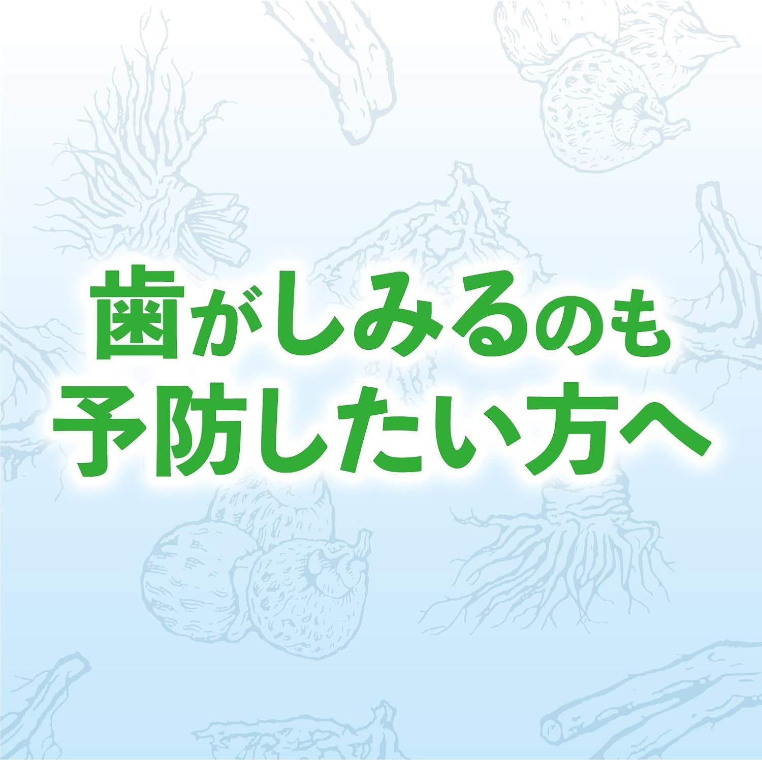 知覚過敏予防 薬用ハミガキ 和漢ハーブの香味 100g 【医薬部外品】