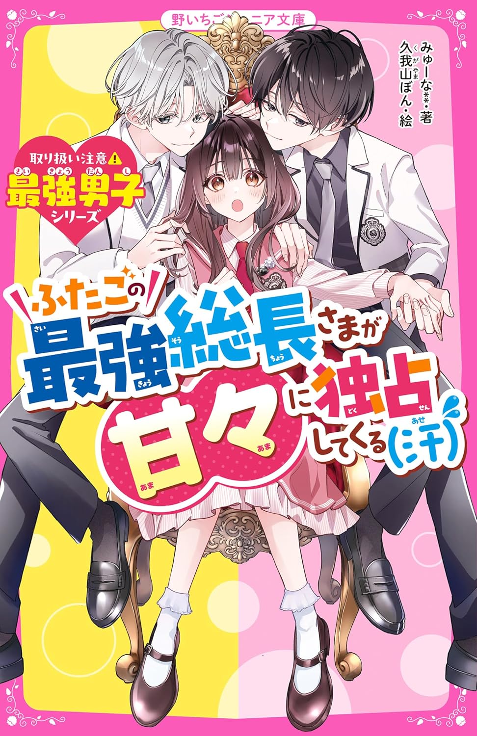 最強男子シリーズ：ふたごの独占甘々総長ノベル