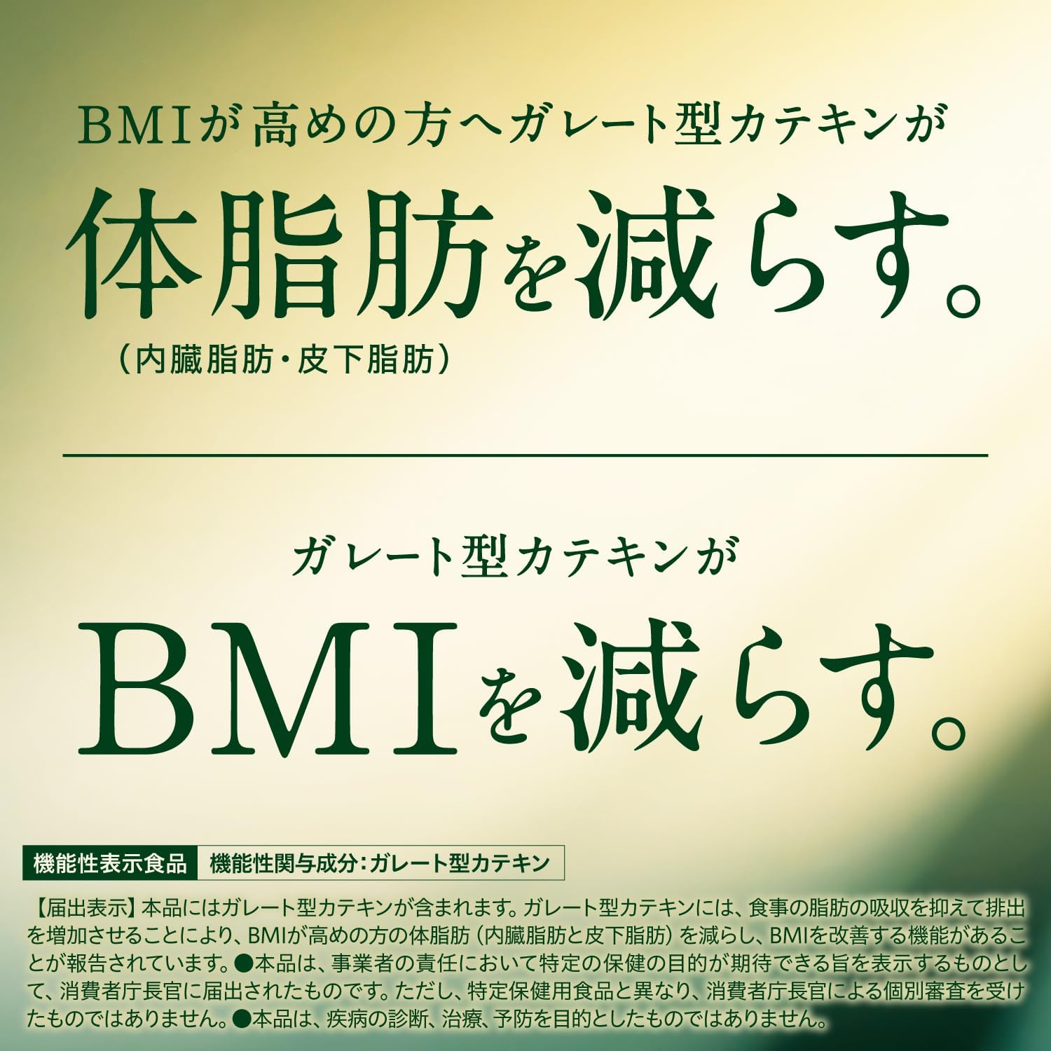 おーいお茶 さらさら濃い茶 粉末 80g [機能性表示食品] チャック付き袋