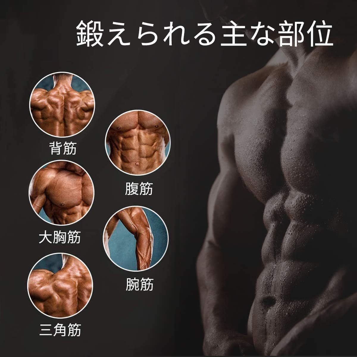 油圧式筋トレアームバーエキスパンダー - 大胸筋・上腕二頭筋トレーニング器具 (10~200kg調整可能)