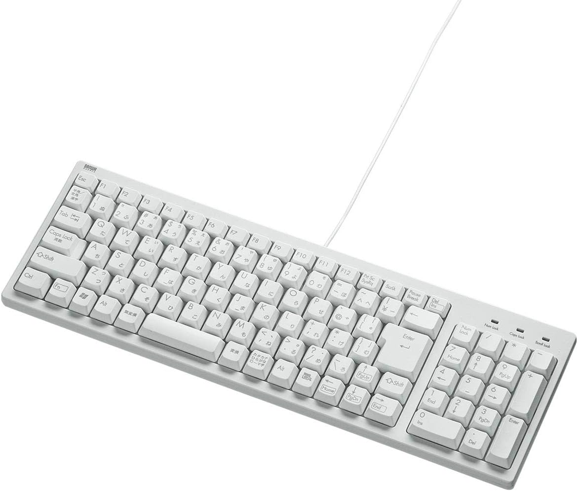 有線コンパクトキーボード テンキー付き USB接続 日本語103キー メンブレン ホワイト SKB-KG2WN2