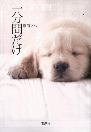 一分間だけ (宝島社文庫)