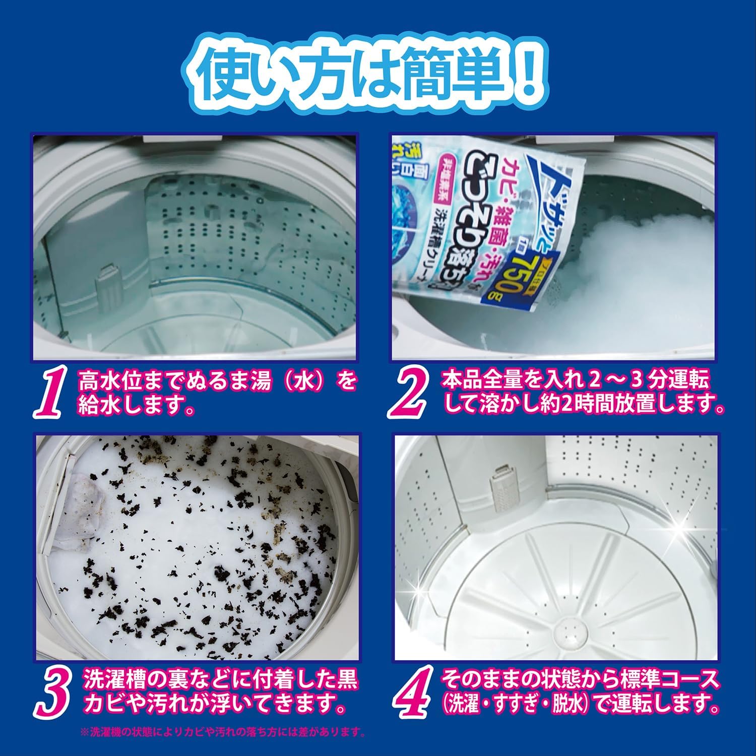 洗濯槽クリーナー 粉末タイプ 750g 日本産 非塩素系 再付着防止 除菌・消臭用
