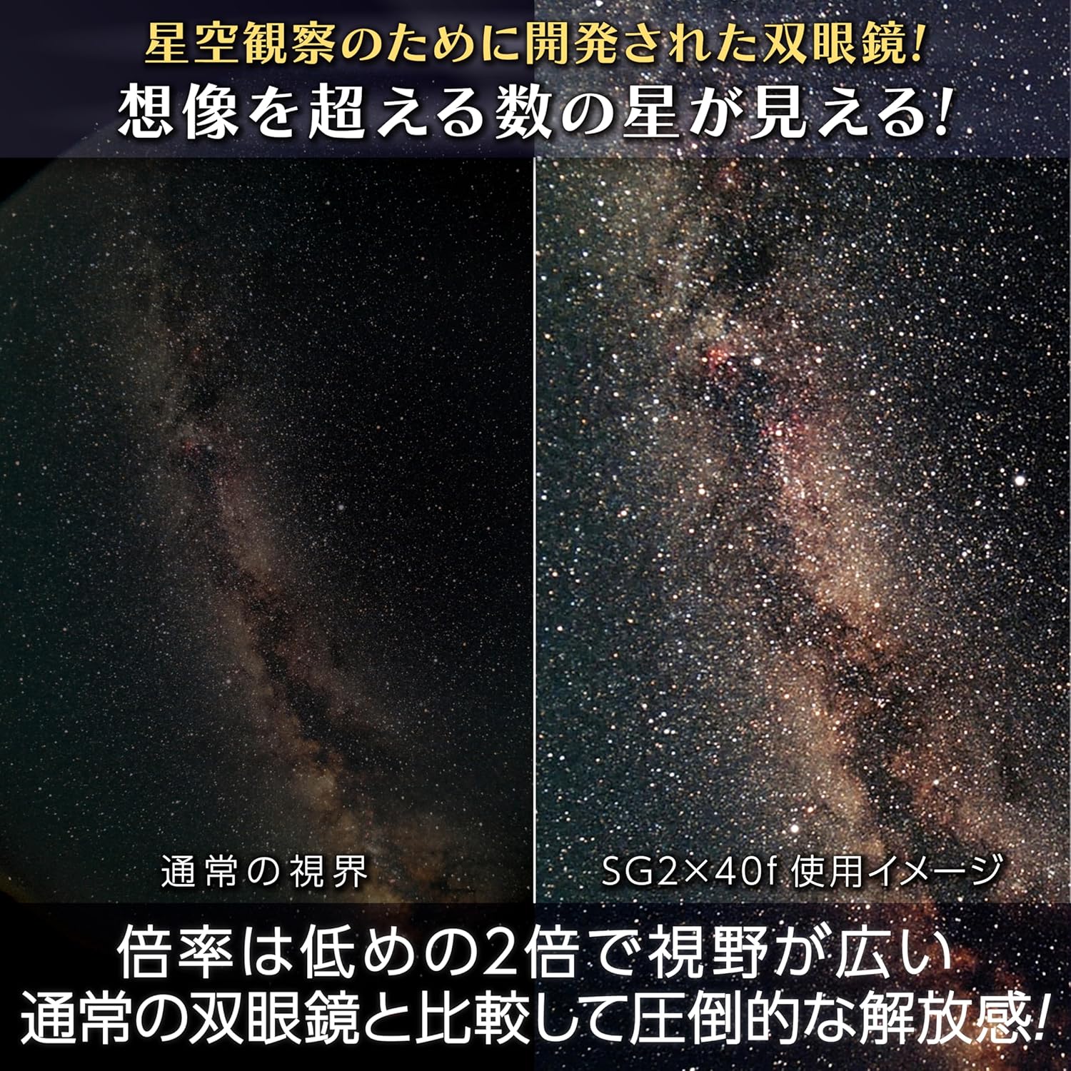 星座観察用ビクセン(Vixen) SG2x40f双眼鏡