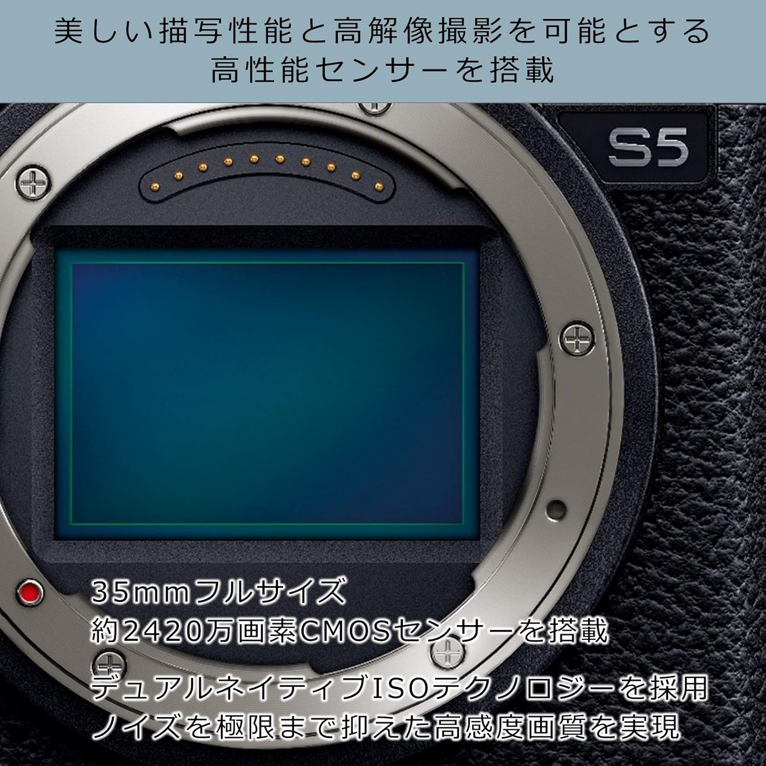 パナソニック ルミックス S5 ミラーレスカメラ 標準ズームレンズキット ブラック