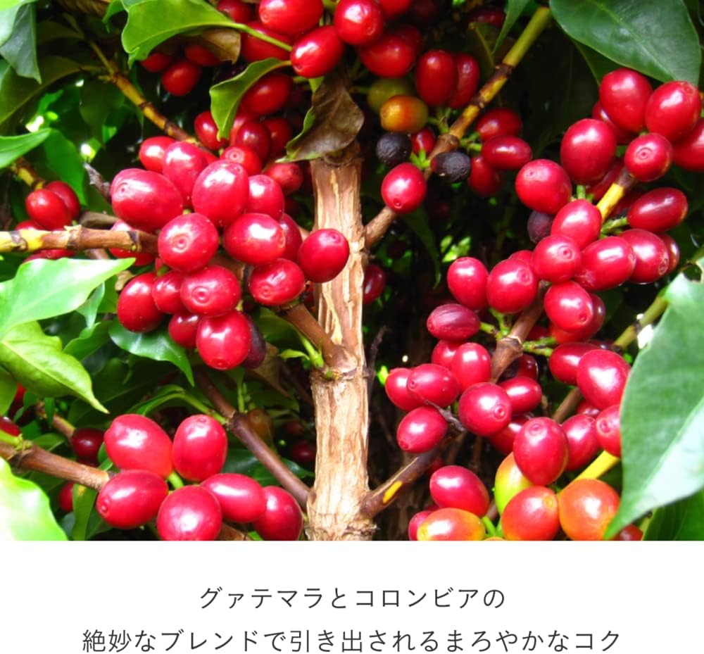 グァテマラ＆コロンビア専用カプセル（12杯分/90g）