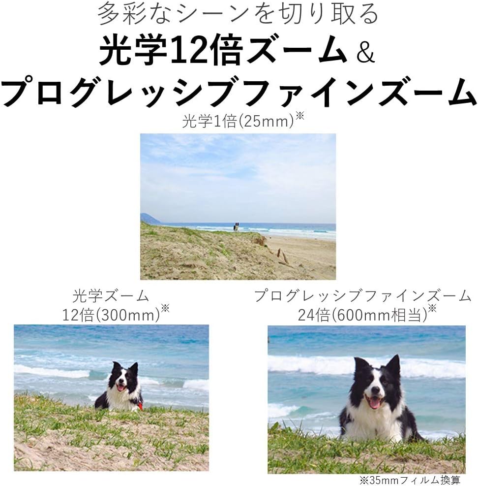 Canon コンパクトデジタルカメラ IXY 650 シルバー 光学12倍ズーム・Wi-Fi対応