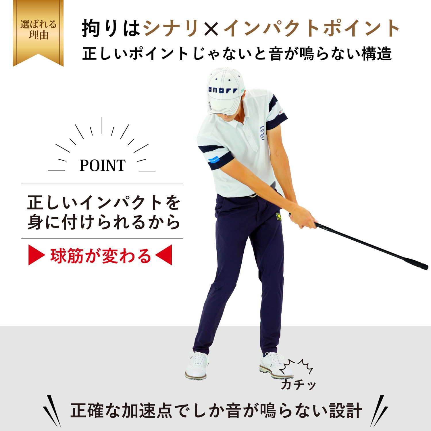【ゴルフ練習】Danact スイングトレーナー シナリ有 素振り用
