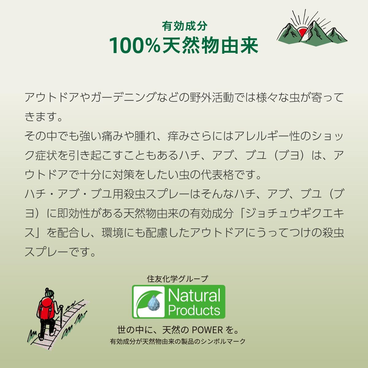 スズメバチ駆除用殺虫スプレー 550mL エアゾール