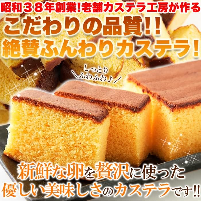 長崎カステラ ザラメ入り (プレーン) 3本入 大容量 和菓子