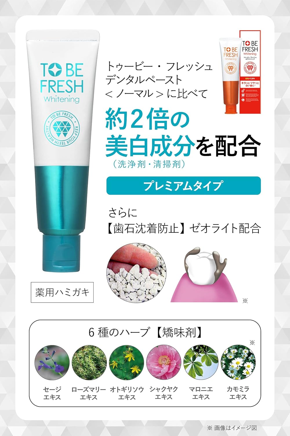 医薬部外品 ホワイトニング プレミアム ハミガキ粉 60g