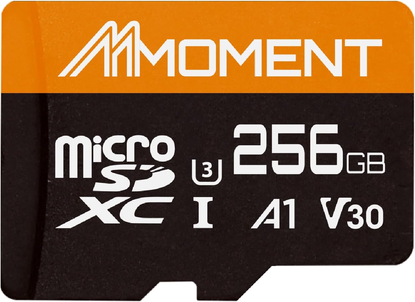 Nintendo Switch対応 256GB マイクロSDカード / Class10 / UHS-I / A1 / V30 / SDアダプター付【最大読込95MB/s】