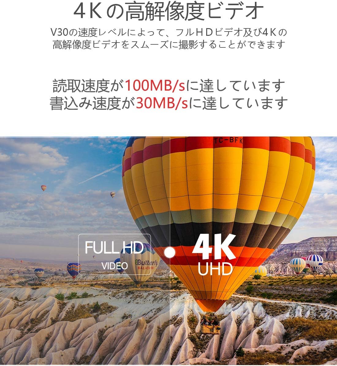 Netac 256GB microSDカード UHS-I U3 V30 Switch対応