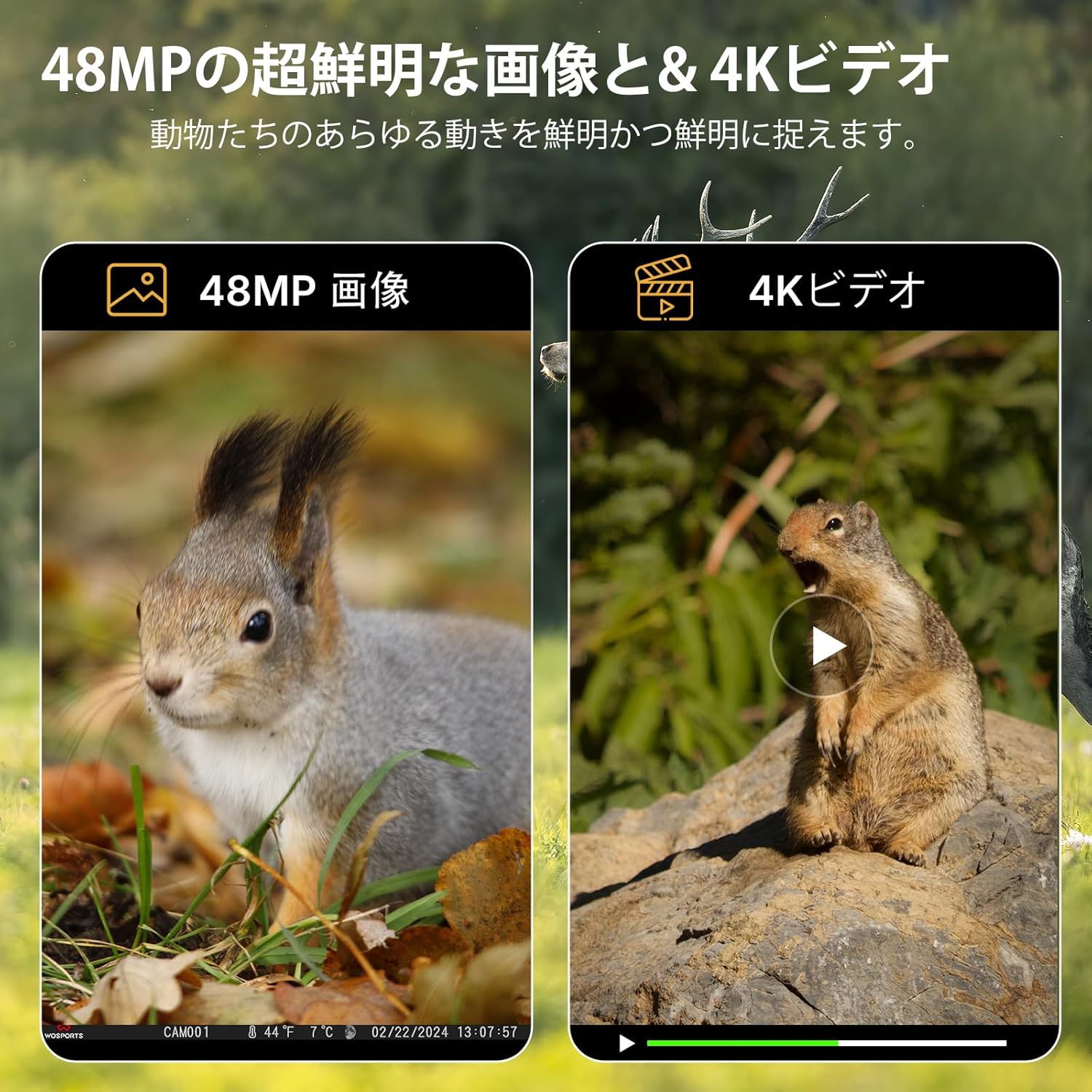 野生動物監視用ソーラー4Kトレイルカメラ・WIFI対応・4800万画素・IP66防水