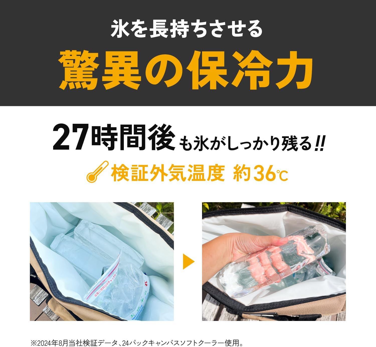 AO Coolers キャンバスソフトクーラー 8.5L/11L/23L 保冷バッグ アウトドア用【5年保証】