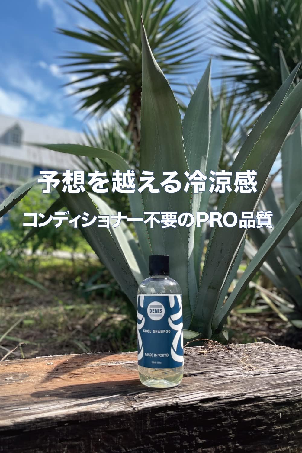 デニス エス クールシャンプー 290ml - 冷涼感スキャルプケア【ジム・サーフ・旅行向け】