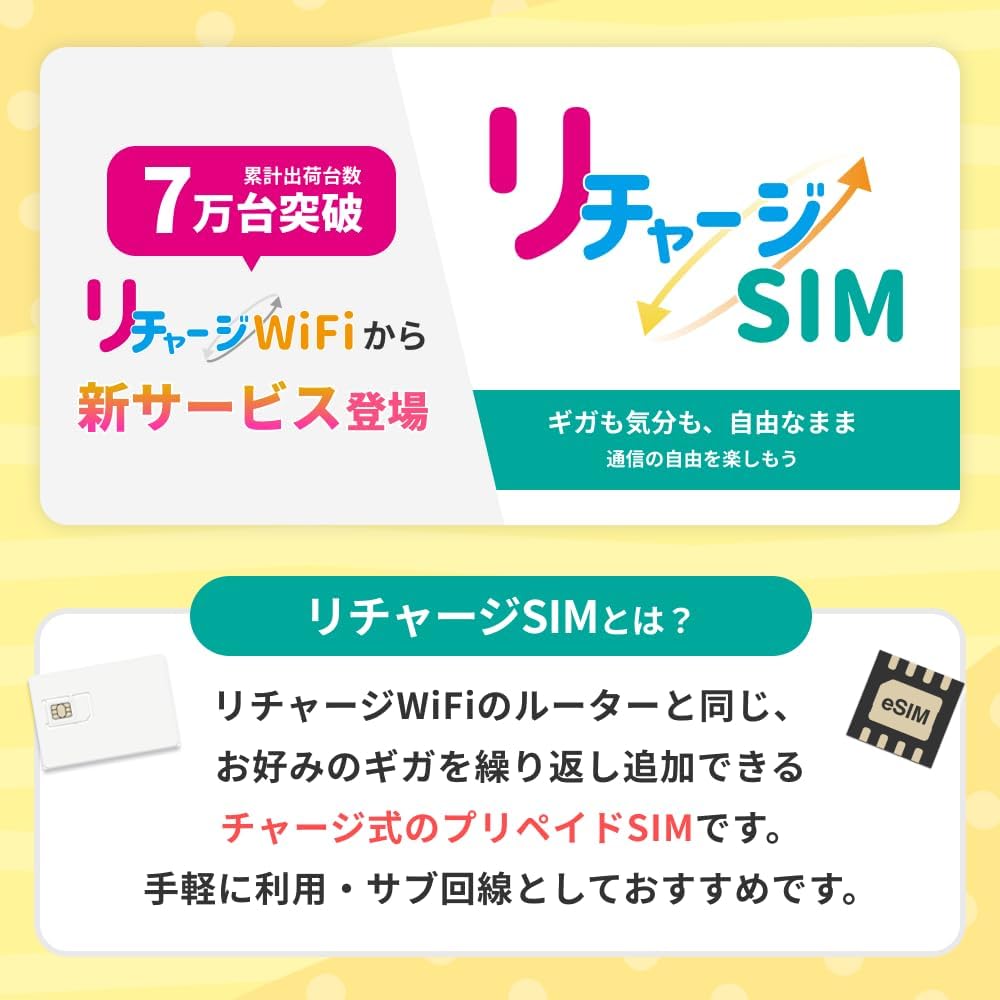 【eSIM】月額なし・ギガリチャージ可能 100GB/365日利用可 (4G/5G/NTTドコモ)