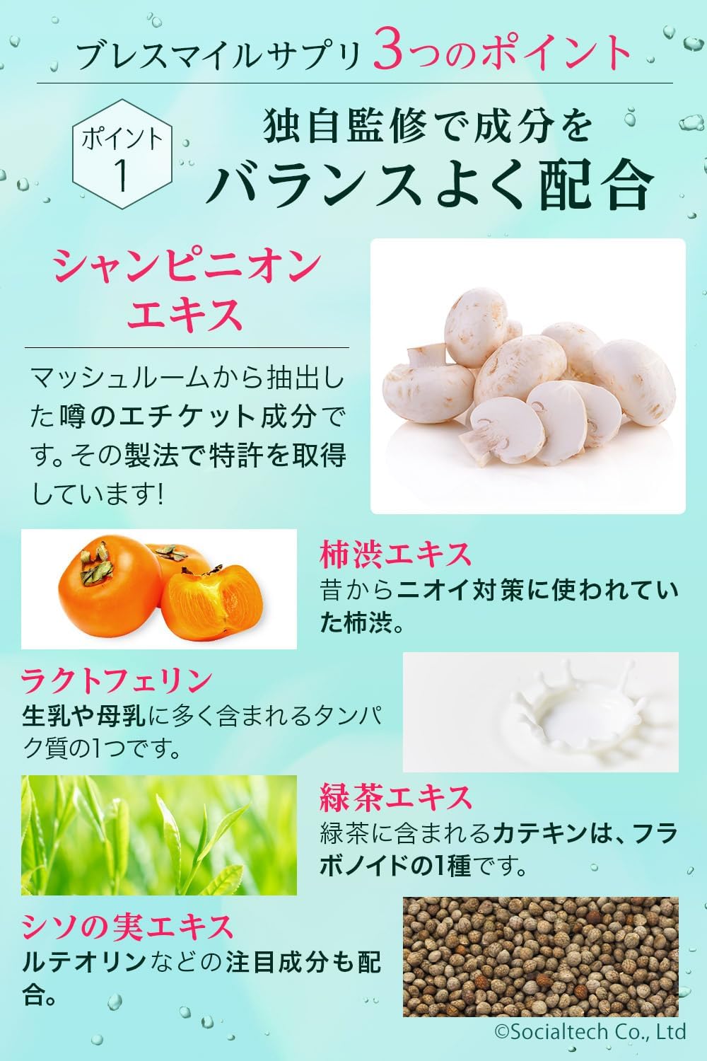 ブレスマイル シャンピニオンキシリトールサプリメント さくらんぼ味 33.0g