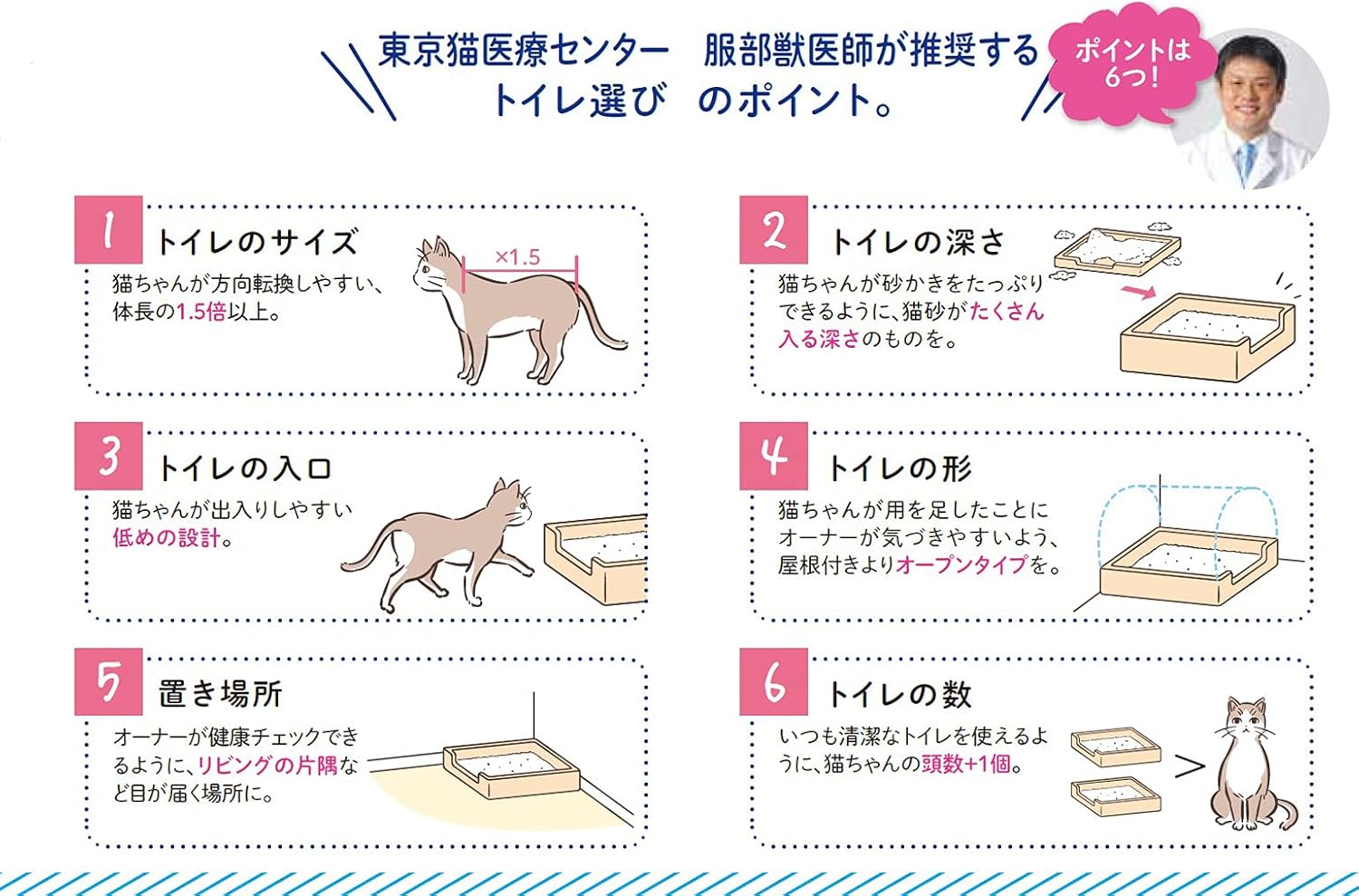 ライオン 猫トイレセット 無香料砂 5.5L×2袋 消臭力高 鉱物系