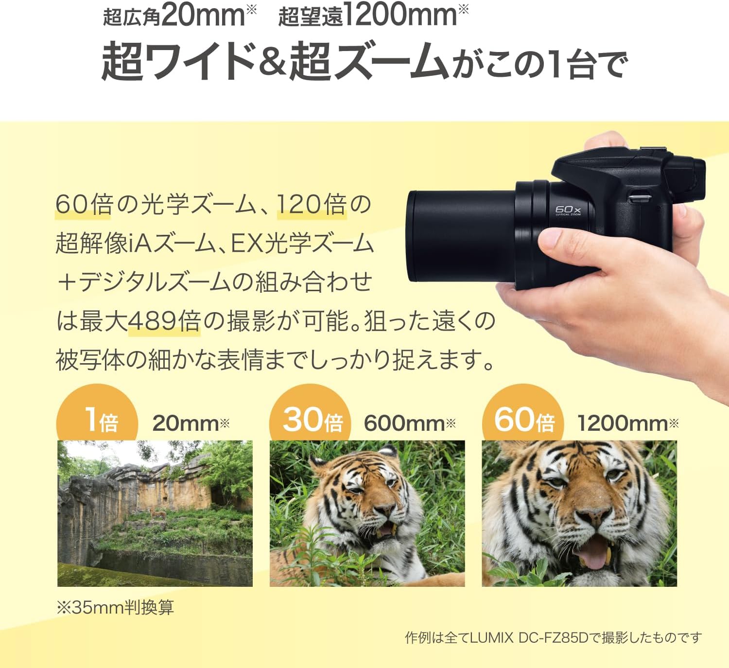 光学60倍ズーム対応 パナソニック LUMIX デジタルカメラ DC-FZ85D-K ブラック