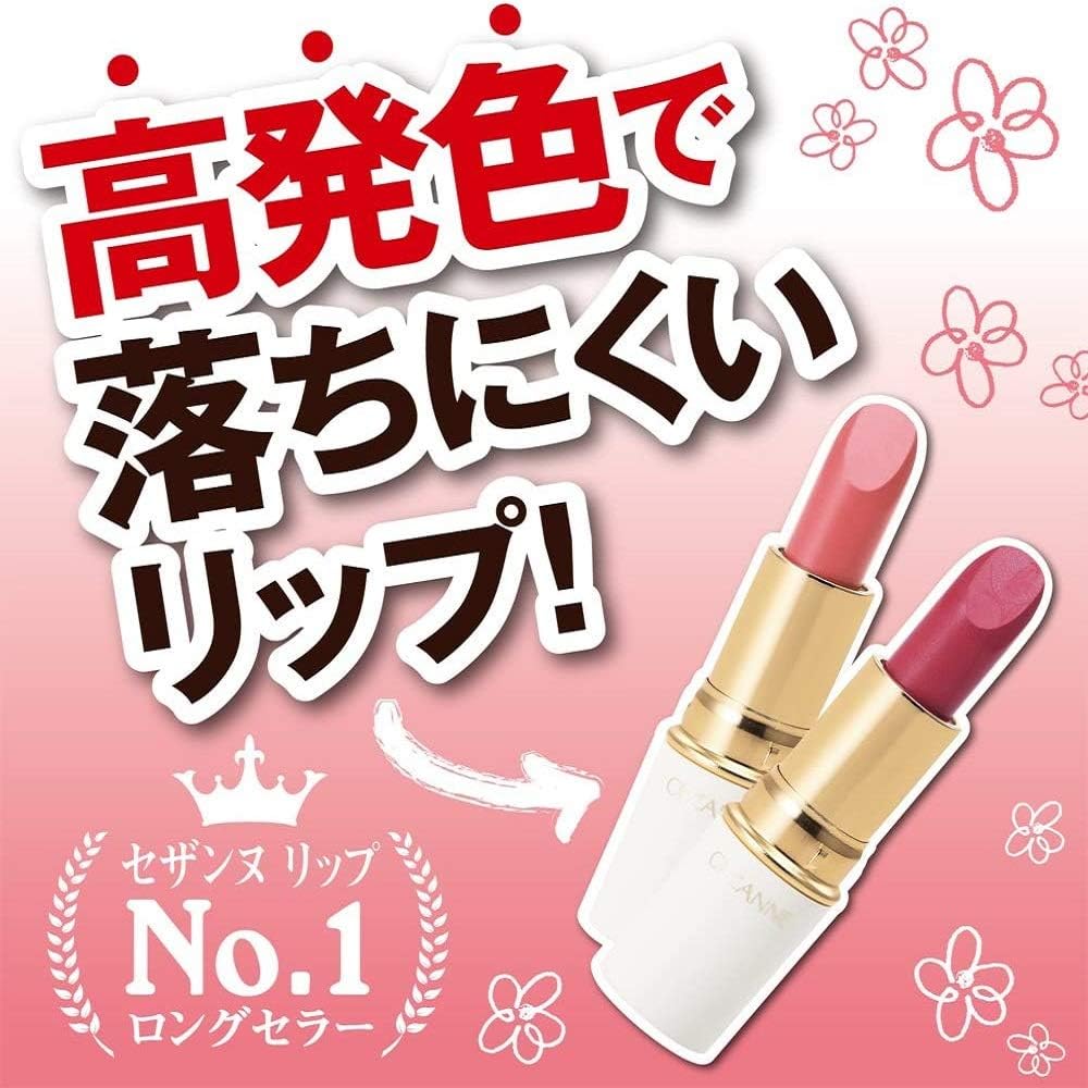 セザンヌ ラスティング リップカラーN 105 ブラウン系 口紅 4.2g