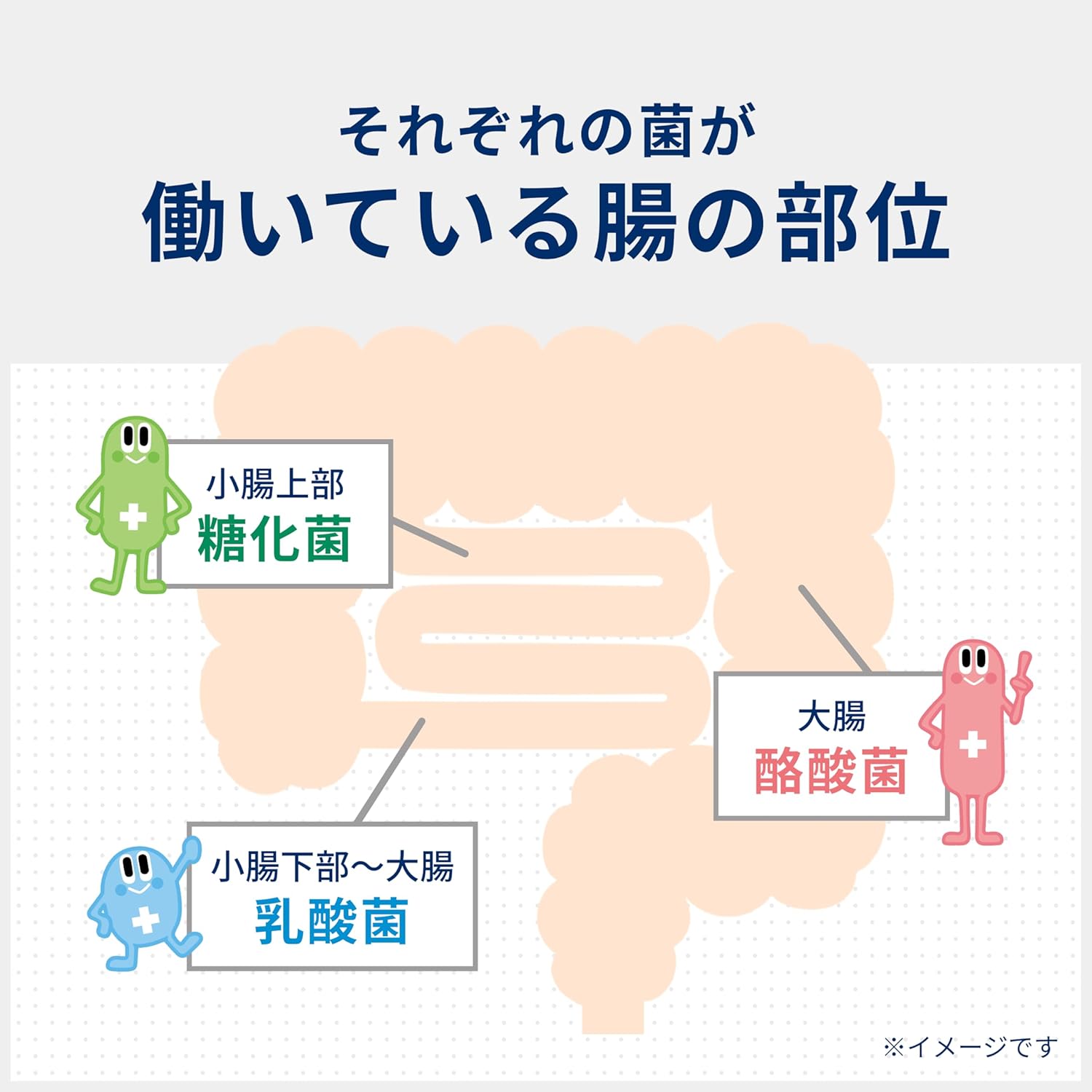 整腸剤 ビオスリーHi錠 180錠 [腸内フローラ改善/便秘・軟便対策]【指定医薬部外品】