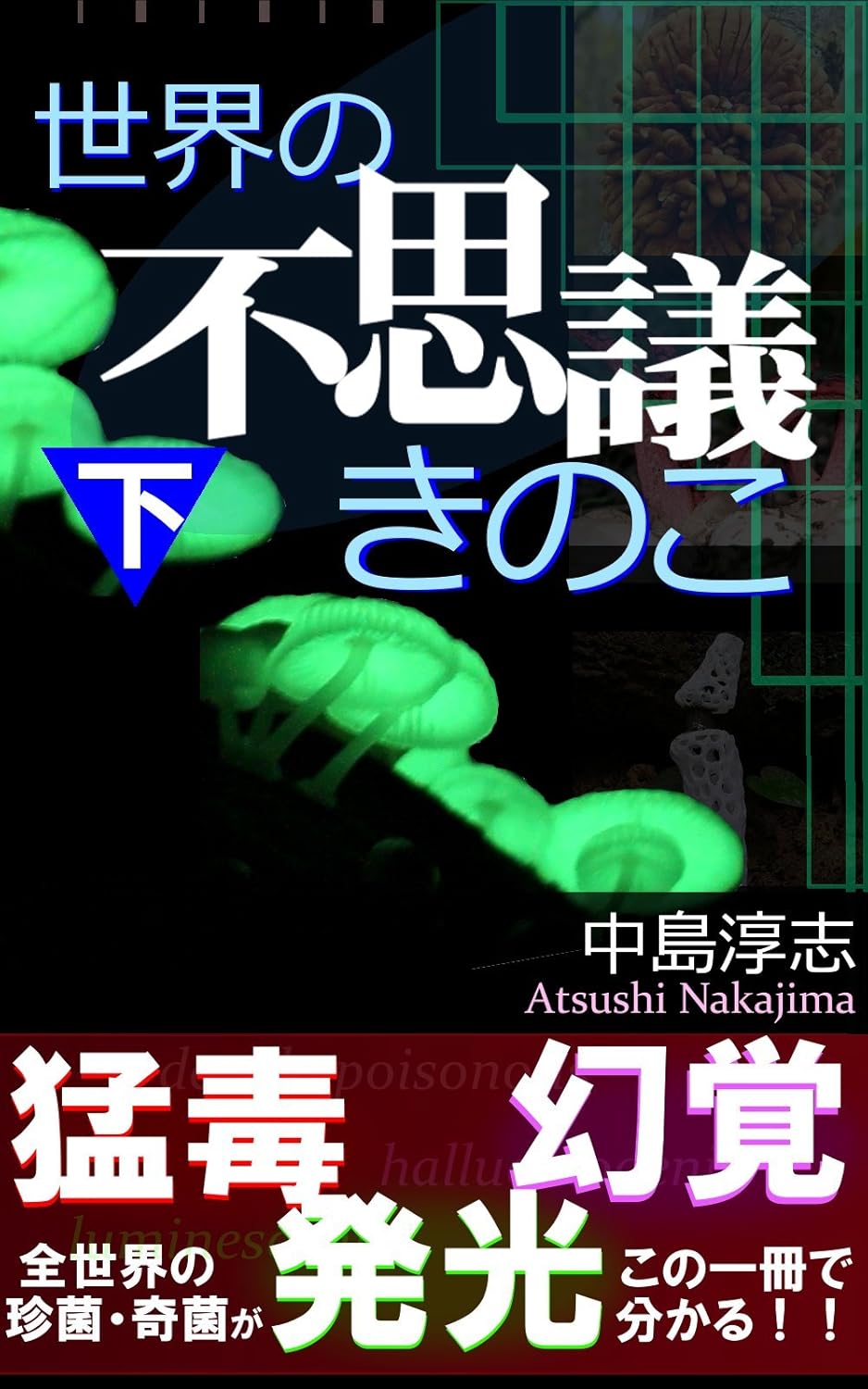 きのこの神秘：世界の不思議を探る（下）