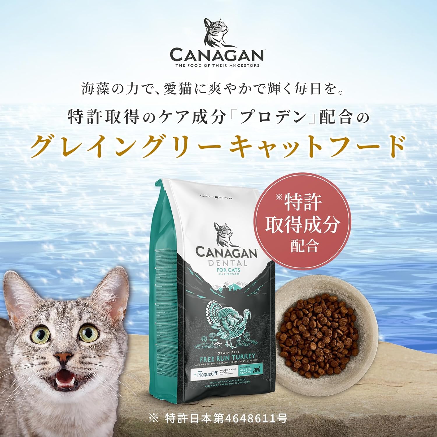全年齢対応・グレインフリーキャットフード(1.5kg)着色料・香料不使用【特許海藻成分配合】