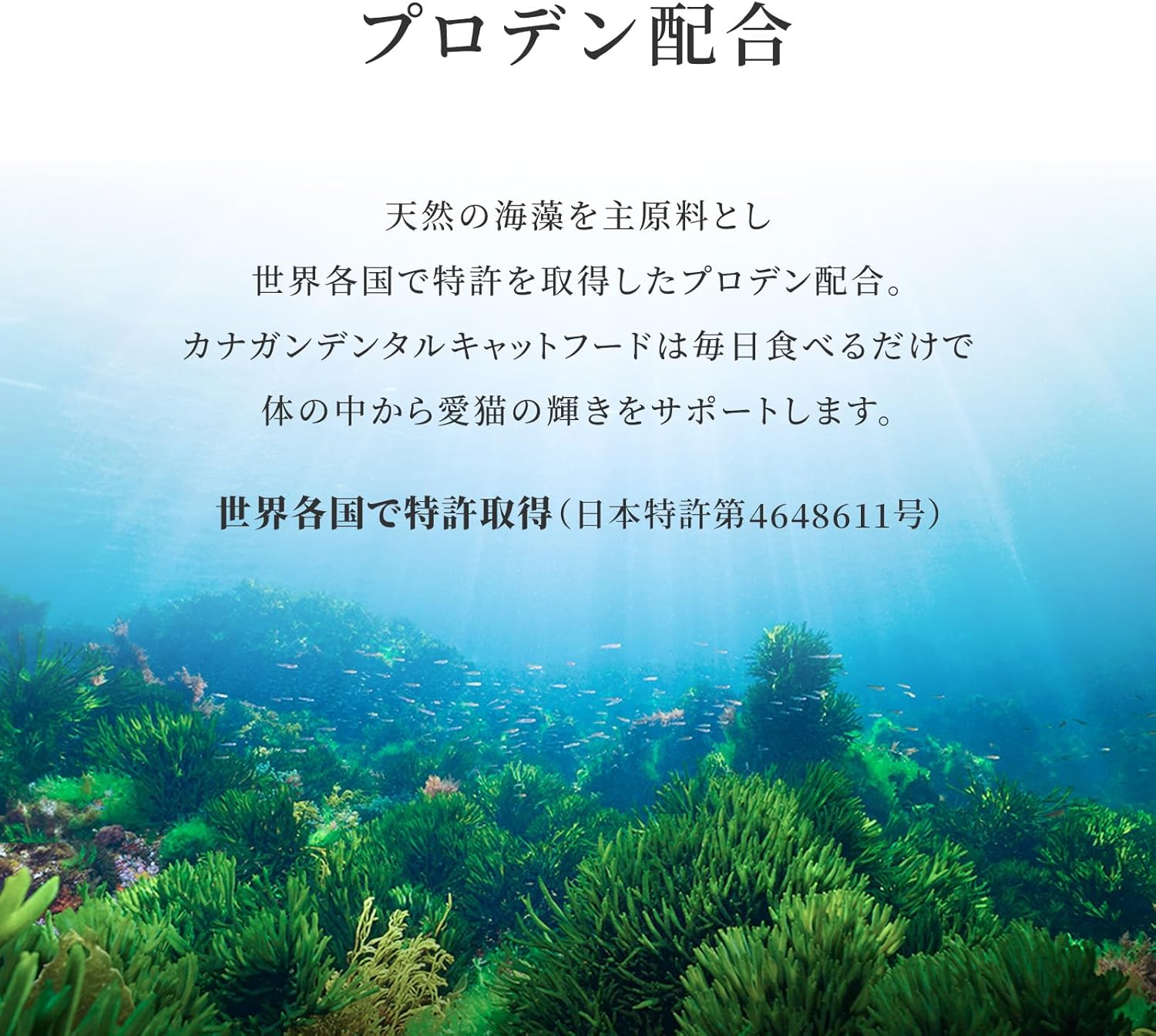 全年齢対応・グレインフリーキャットフード(1.5kg)着色料・香料不使用【特許海藻成分配合】