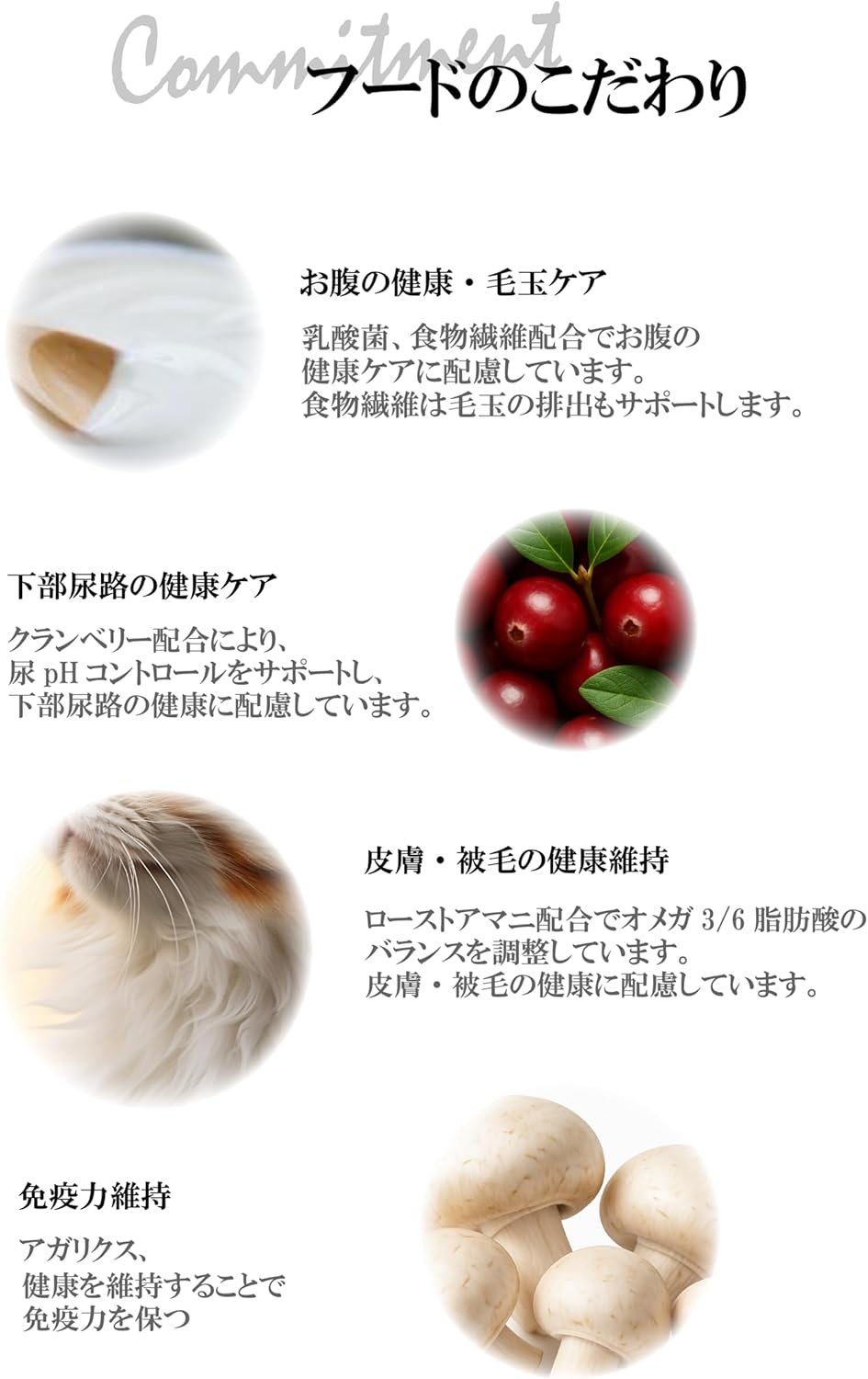 獣医師推奨 サクラペットフード キャットフードお試しセット(チキン・フィッシュ各60g)